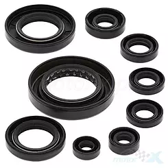 Motordichtungen Komplettset Vertex 822351