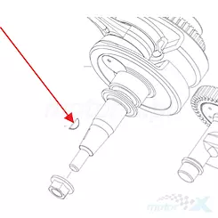 Schwungradschlüssel QJMotor B11810305013