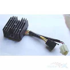 Tourmax RGU-305 Spannungsregler