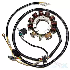 Stator des Anlassers, Ständer des Generators, Electrosport ESG241