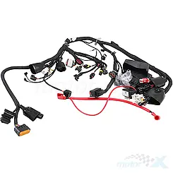Elektrische Kabelbaum QJMotor SRK 125 S