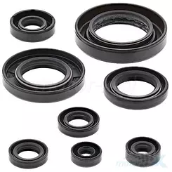 Motordichtungen komplett Vertex 822354