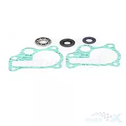 Bearing Worx WMK30005 (WPK0011) Wasserpumpen-Reparatursatz