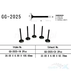 Auslassventil Vesrah GG-2025-EX