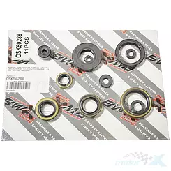 Motordichtungs-Kit Bearing Worx OSK50288 (822288)