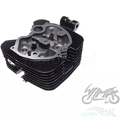 Zylinderkopf 250cc ATV STXE167FMM 4T 250 OHV AC