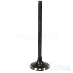 Auslassventil, Stahl, Prox (28.1381-1) Honda XR 200R 96-02+ 81-83