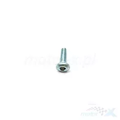 Schraube M8x25 mm ohne Führung, Bremsscheibe 