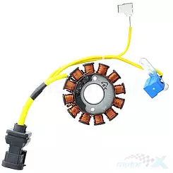 Stator des Anlassers, Ständer des Generators, 12 Spulen, Electrosport ESG194