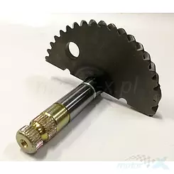 Kickstarterwelle Agility / Super 8  125 4T