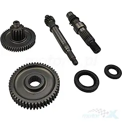 Hinterradgetriebe, komplett, mit Dichtungen, Abiwa, 139QMB/QMA (GY6 50) 4T