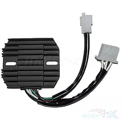 Electrosport ESR310 Spannungsregler