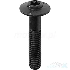 Schraube M6x30mm QJMotor 08002P620005