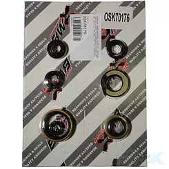 Dichtungssatz Motor Bearing Worx OSK70176 (822176)