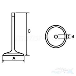 Auslassventil 125cc Keeway 129193060000