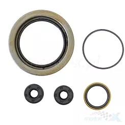 Motordichtungen komplett Satz Athena P400195370899