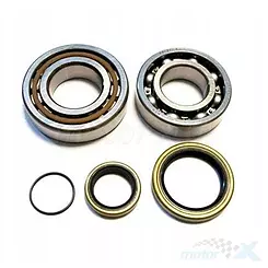 Kurbelwellenlager mit Dichtungen Bearing Worx CBK30003 (NTN) (MADE IN JAPAN) (24-1004)