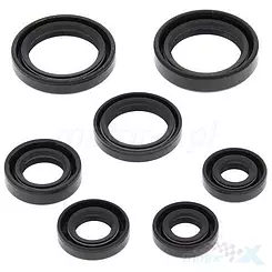 Motordichtungen komplett Satz Vertex 822236