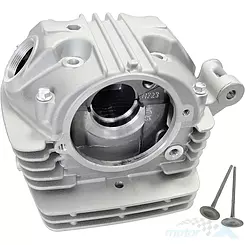 Zylinderkopf mit Ventilen Barton NXT 250L