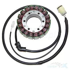 Stator, Lichtmaschinenstator, Lichtmaschinenwicklung, Electrosport KAWASAKI ZX-12R (00-01)
