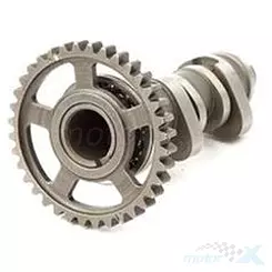 Nockenwelle, stage 1, Hot Cams HC 1123-1