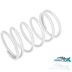Zentralfeder Hinterradkupplung, Malossi, weiß, d.5,2mm, Kymco 250-300