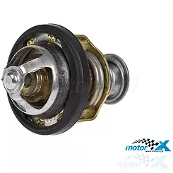 Thermostat, Aprilia Atlantic 500 / Piaggio X9 500 Evolution