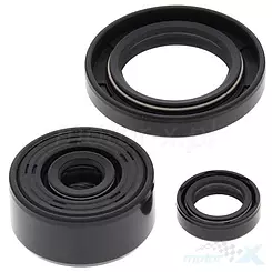 Motor Dichtungen Komplettset Winderosa Yamaha XT250 08-21, YFM 250 RAPTOR 08-13
