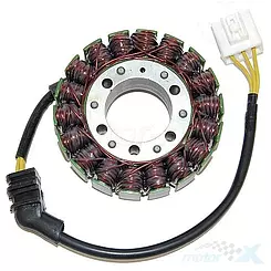 Stator des Anlassers, Stator des Generators, Electrosport ESG523