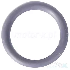 Oeldichtung 10x2mm Zipp Nitro 250