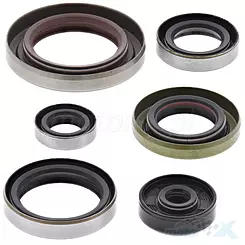 Motordichtungen Satz Bearing Worx OSK60348 (822348)
