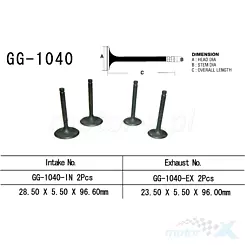 Auslassventil Vesrah GG-1040-EX