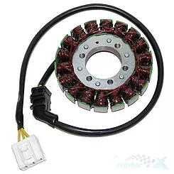 Stator, Lichtmaschinenstator, Lichtmaschinenwicklung, HI TEMP RATED, Electrosport ESG954, HONDA CBR 954RR (02-03)