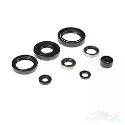 Motordichtungssatz Bearing Worx OSK50183 (822183)