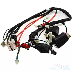 Elektrische Anlage