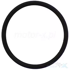 Athena M753504166094 Auspuffdichtung