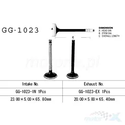 Auslassventil Vesrah GG-1023-EX