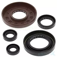 Motordichtungen komplett Satz Vertex 822277