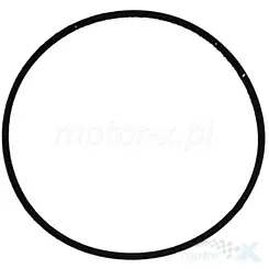 Zylinderkopfdichtung, O-Ring, Athena M751802212094