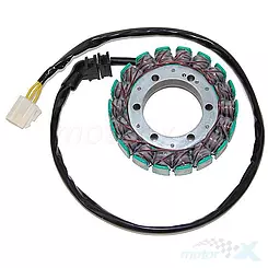 Stator, Lichtmaschinenstator, Electrosport ESG071