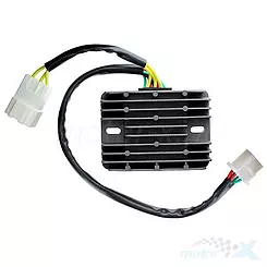 Spannungsregler Electrosport ESR089