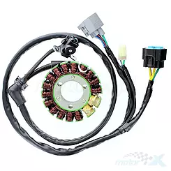 Stator, Lichtmaschinenstator, Electrosport ESG301