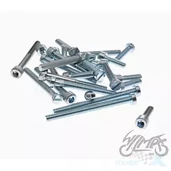 Motor schraube WSK125 imbus + flach set